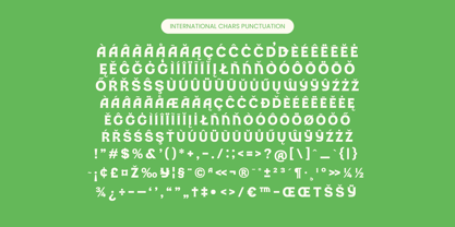 Damoga Font Poster 14