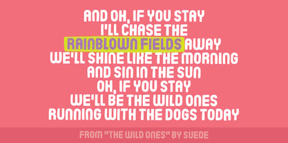 Rainblown Fields Font Poster 2