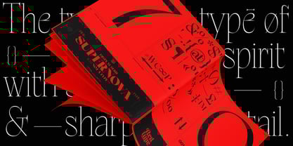 Kaixasena Font Poster 2