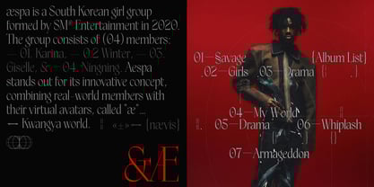 Kaixasena Font Poster 11