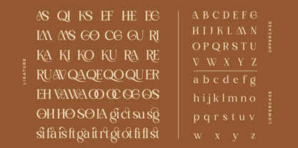 Moistly Vengions Font Poster 9