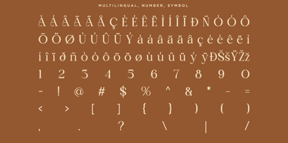 Moistly Vengions Font Poster 10