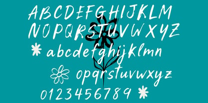 Comfirst Font Poster 7