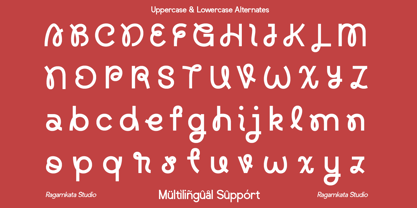 Raizent Font Poster 13