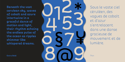 De Welle Font Poster 6