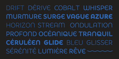 De Welle Font Poster 7