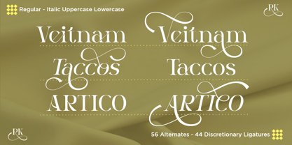 Dalnite Font Poster 8