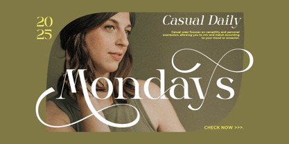 Dalnite Font Poster 6