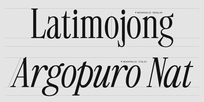 403 Mesapholic Font Poster 6