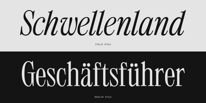 403 Mesapholic Font Poster 4