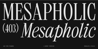 403 Mesapholic Font Poster 1