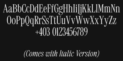 403 Mesapholic Font Poster 3