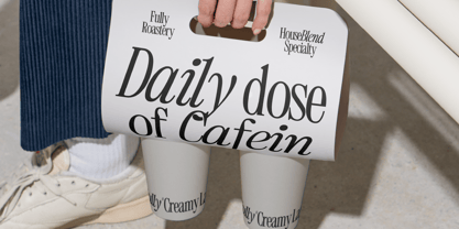 403 Mesapholic Font Poster 10