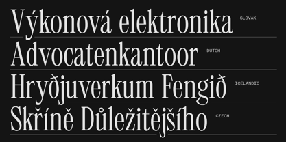 403 Mesapholic Font Poster 5