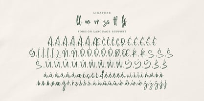 Assallonge Font Poster 10