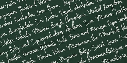 Assallonge Font Poster 13