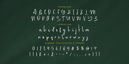 Assallonge Font Poster 9