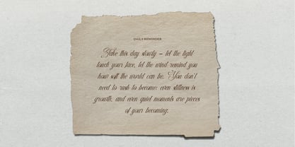 Raufendry Font Poster 6