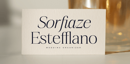 Realife Moment Font Poster 6