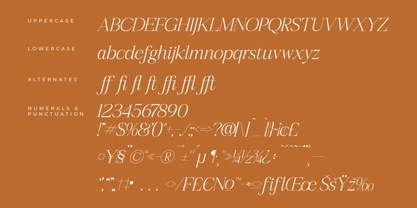 Realife Moment Font Poster 8