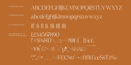 Realife Moment Font Poster 7