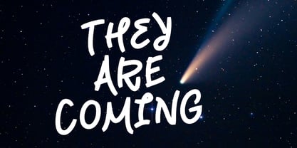 Nimella Script Font Poster 5