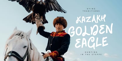 Nimella Script Font Poster 3