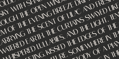 Ragion Font Poster 9