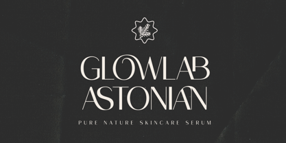 Ragion Font Poster 4