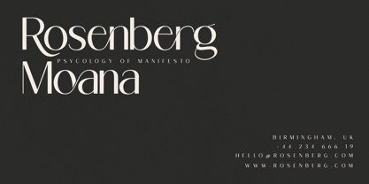 Ragion Font Poster 2