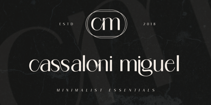 Ragion Font Poster 12