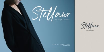 Brations Signature Font Poster 3