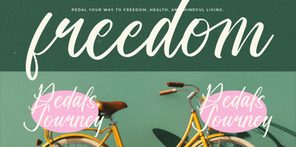 Drinklife Travelling Font Poster 13