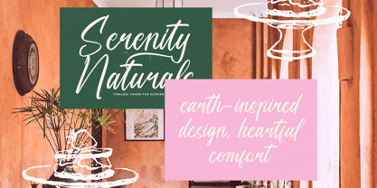 Drinklife Travelling Font Poster 12