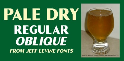 Pale Dry JNL Font Poster 1