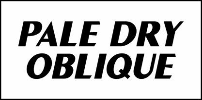 Pale Dry JNL Font Poster 4
