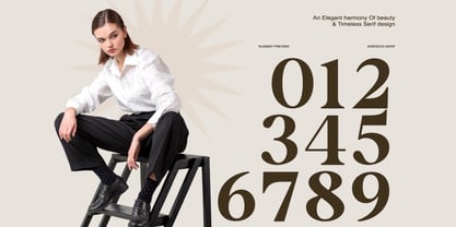 Enerecia Font Poster 3