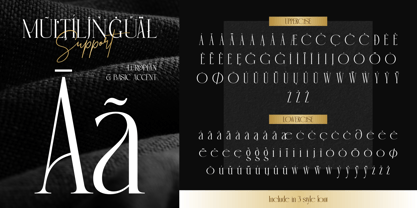 Sophan Elegant Font Poster 10