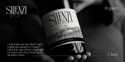 Sophan Elegant Font Poster 4