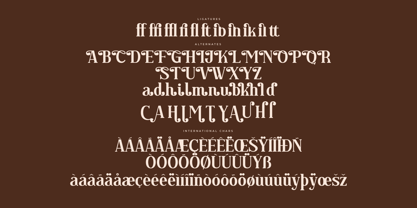 Regflina Font Poster 8