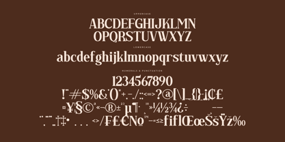 Regflina Font Poster 7