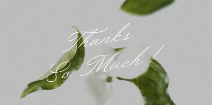 Stindle Font Poster 13