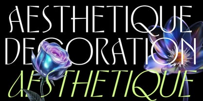 Solistice Nova Font Poster 12