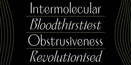 Solistice Nova Font Poster 8
