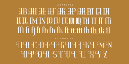 Vittorika Font Poster 8