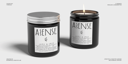 Cause Duo Font Poster 7