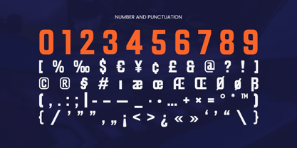 Perform Font Poster 11
