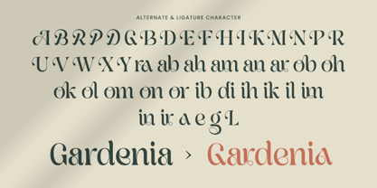 Banera Font Poster 10