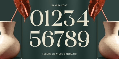 Banera Font Poster 12