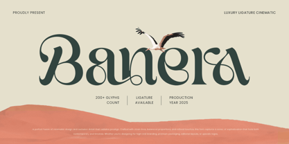 Banera Font Poster 1